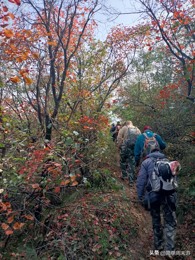 16）嵩山秋行记：27人踏秋赏红叶，从西山脊到古刹禅心