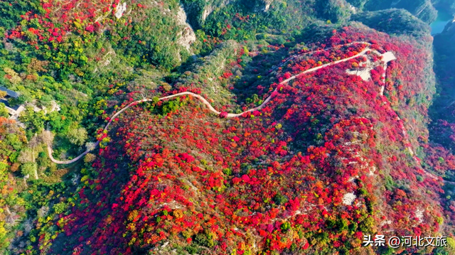 赏红叶・听秋水・颂英魂！河北涉县庄子岭，藏着太行动人的秋