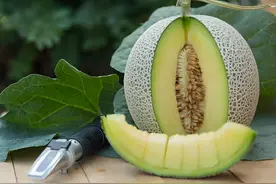 新疆十大最著名的特产图片