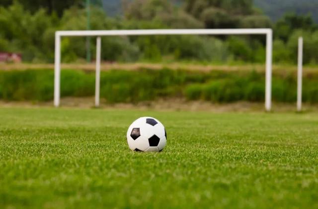 闭眼冲！11月光明公园这样玩！