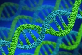 “眉毛一根长，胜过万担粮”，有何讲究？眉毛变长意味着什么？图片