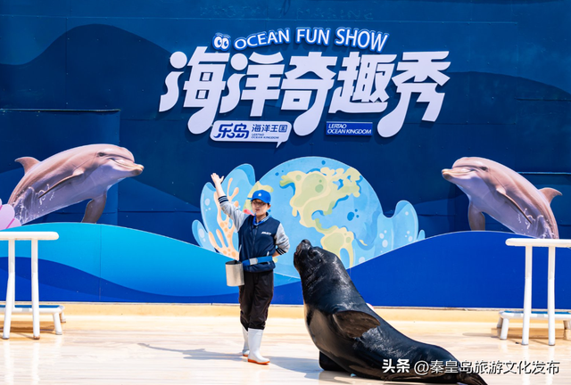 国庆小长假，秦皇岛乐岛海洋王国游玩指南出炉！