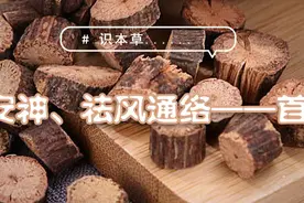 识本草丨养血安神、祛风通络——首乌藤图片