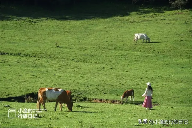 逃离高温！陕西超惬意避暑小城，景美超凉快！夏天去浪