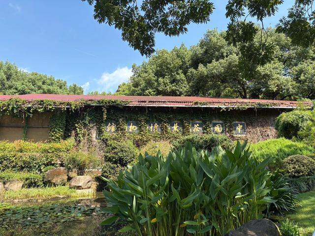 杭州小众游玩路线,茶叶博物馆和浙江美术馆半日游,建议收藏