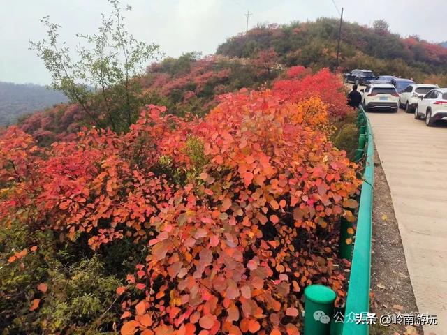 富平薛镇赵老峪北村，赏红叶观石桥瀑布，这条环线真是美爆了！