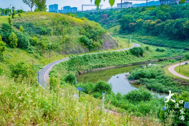 骑行，到大渡口（附线路）