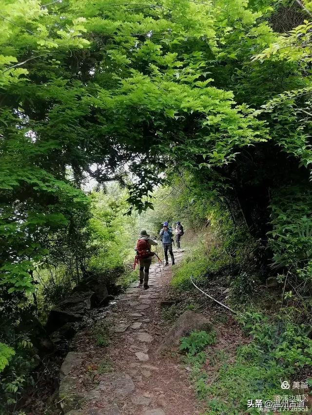 秋高气爽，温州这座奇石林立、风光奇绝的道教名山等你走起！