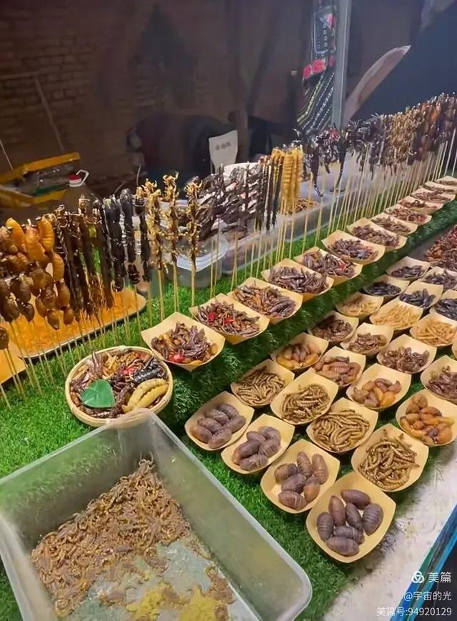 被世界推荐的旅游圣地~西双版纳之行随想