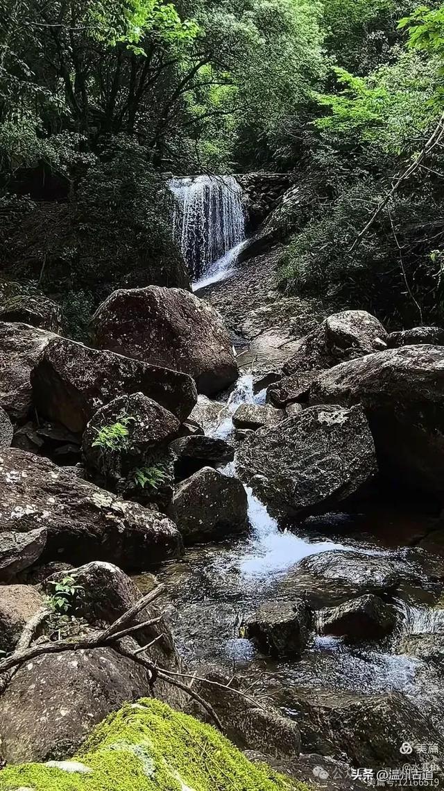 真正的小众避暑胜地!这方秘藏于千米高山之上的清凉秘境等你来!