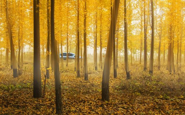 孝感的秋天很短，但这些美好很长｜秋日治愈这6个理由让我去了3次