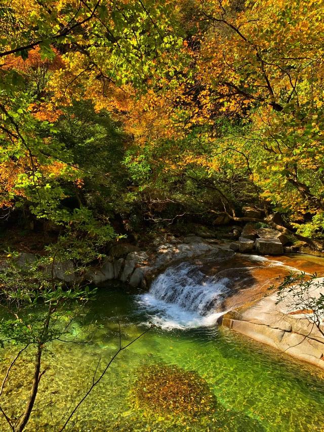 听劝！别再去光雾山米仓山人挤人，红叶没有啦！