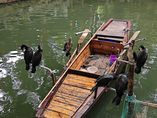 “富土”中的同里