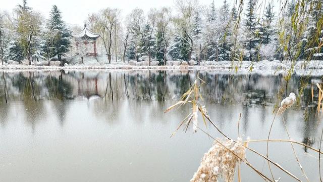 赴一场校园雪约,猜猜哪栋是你的 “温暖小窝”
