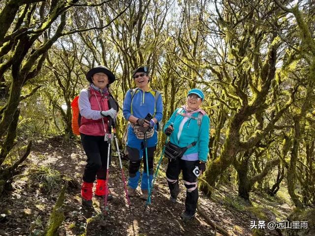 新年登高、祈愿美好,攀登富民金铜盆山,我们用徒步迎接2026