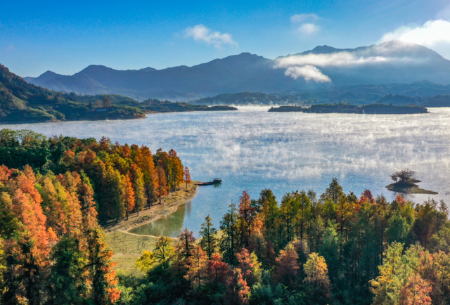 黄山免票+赏秋地，秋假就出发~ | 皖美冬日 | 第十五届安徽国际文化旅游节