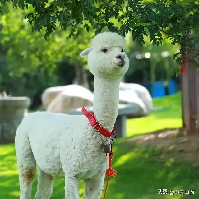 到这里，门票可以顶钱用！