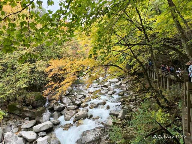 排队游览光雾山