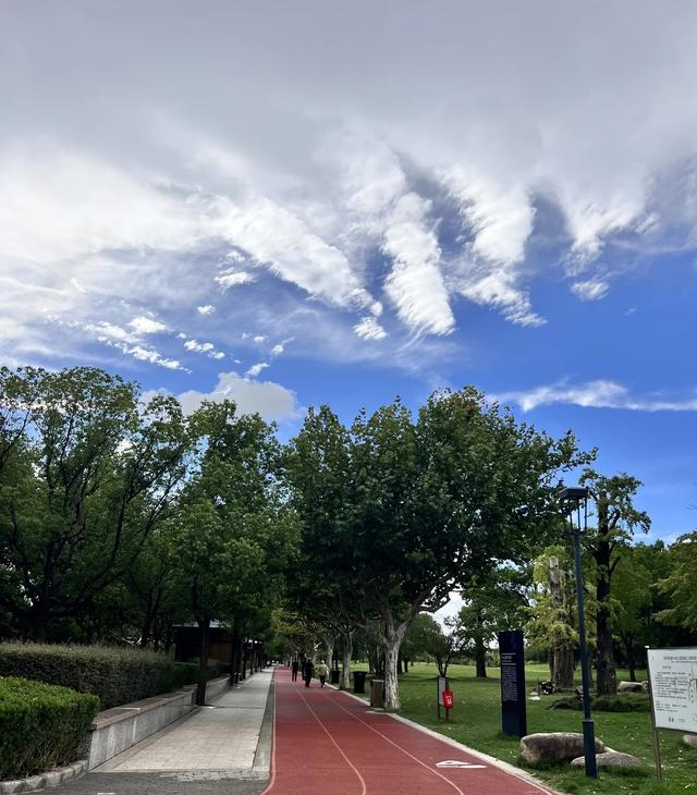 跑步不能改变一切，但到最后你会发现	，一切都改变了