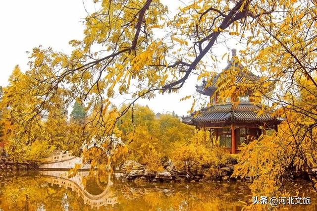 “磕”学来了！你觉得哪些保定景点最具CP感？