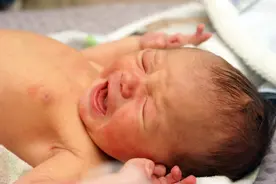 一新生儿在高温下惨遭遗弃 脐带都未剪断图片