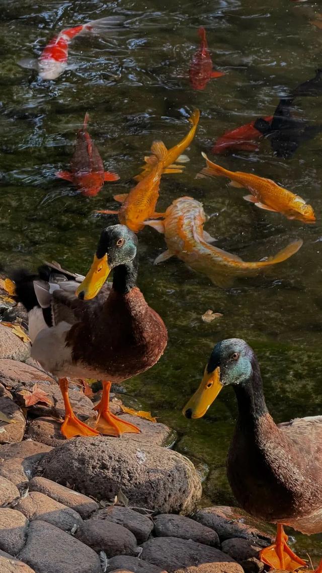 潍坊美景“告急”！这些地方错过等一年！