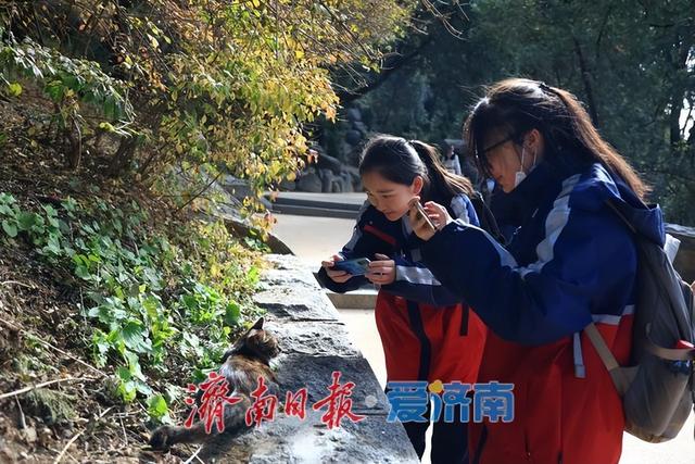 山河为证，团结筑梦！临夏武隆青少年赴泰山研学促交流