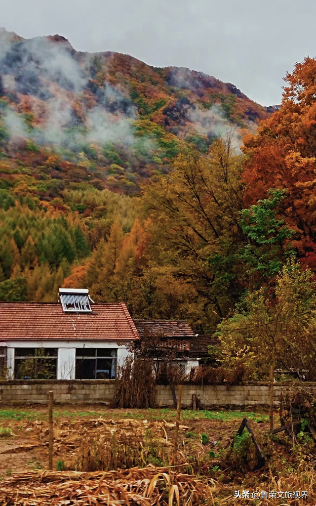 本溪：北国红枫深处的诗意秘境