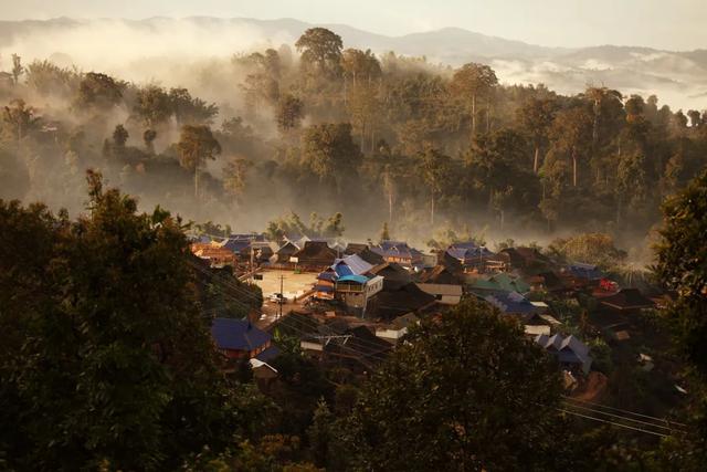 来一次古茶山之旅,去读懂贺开十五年的光阴故事