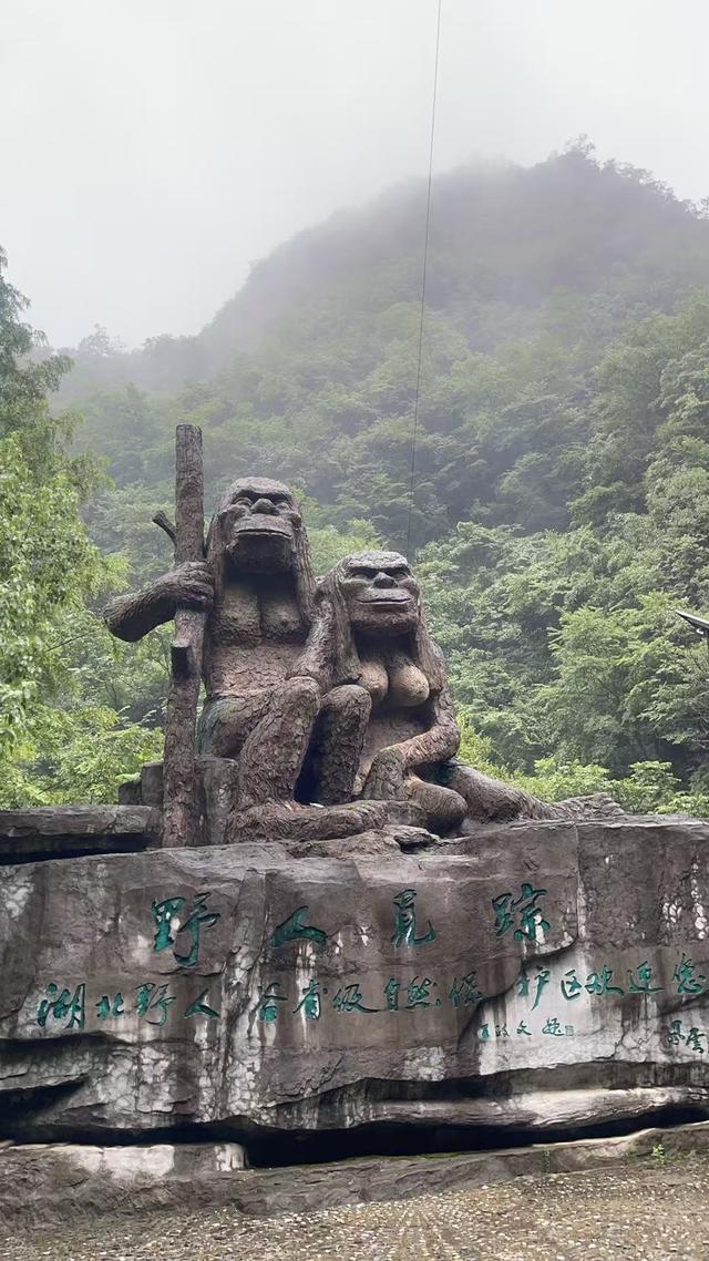 我是南京人，在神农架66天，不吹不黑：大九湖人是真的牛！