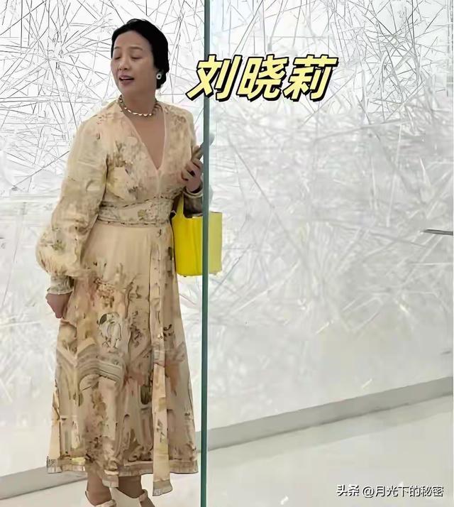 天呐！刘亦菲妈妈被偶遇，都65岁了，还是美得不像话！太让人羡慕