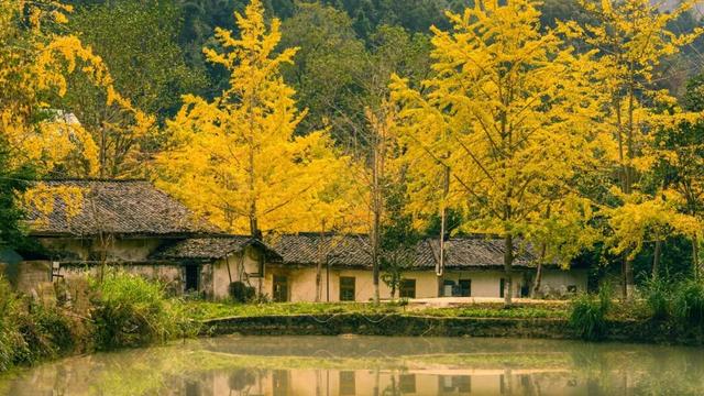 地理冷知识—12月份去哪旅游