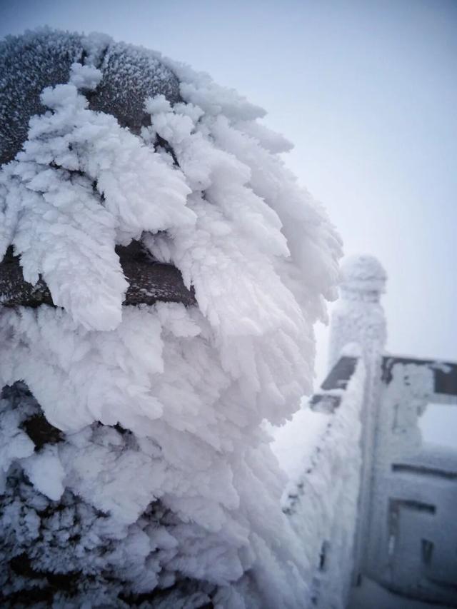 又来？这样的随州，你见没见过？