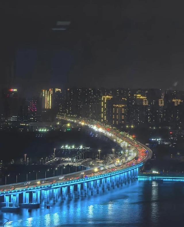 漫步前海：邂逅花海、踏浪听风，在摩天轮下收藏一城浪漫