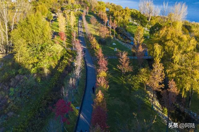 寻找大理海西的最美绿道,色彩缤纷秋意盎然,目测已经开始落叶啦