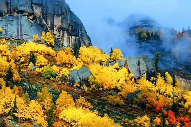 可可托海的秋日邀约：彩林漫山处，转场入画来
