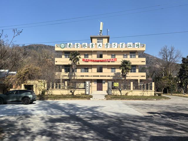 南京第二次到镇江武岐山空青山郊野徒步