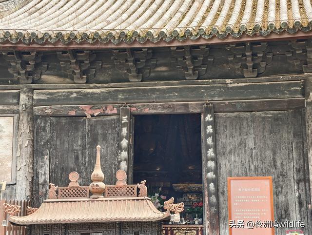 成都徒步（64）·新津篇③观音寺