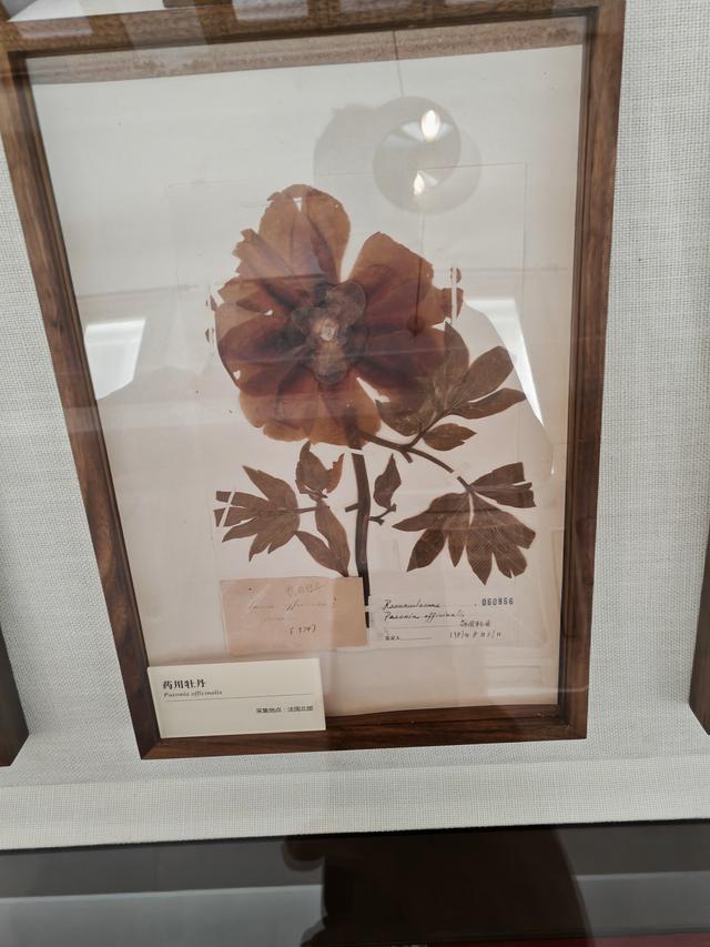 周末遛娃好去处