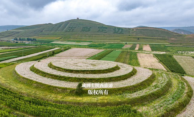 陕西8月份最大的荞麦花海，感觉不是很火，什么原因呢？