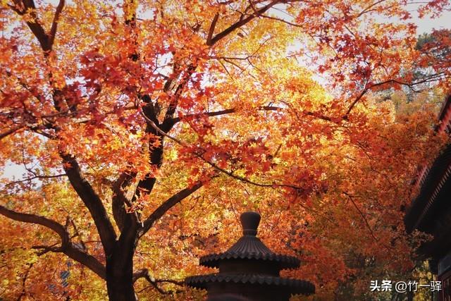 Deepseek和百度AI共同推荐北京红叶区：到北京旅游至少要去三个。