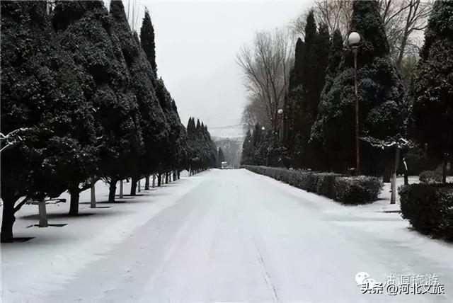 回到坝上沽源 感受家乡的冬天