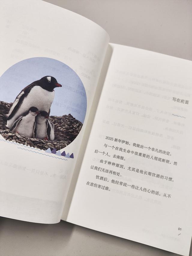 一个人的南极旅行