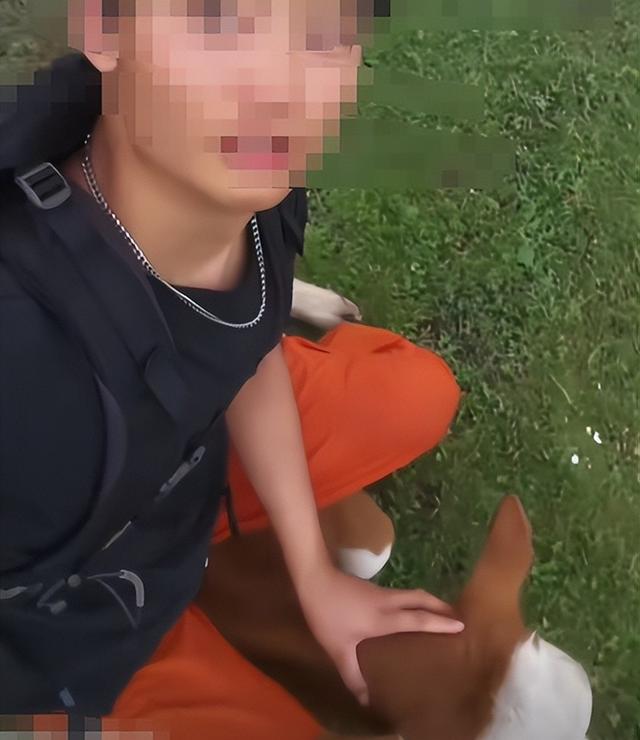 真相大白！男子遭牛群踩踏，不是因为挑逗，知情人透露 目标不是人
