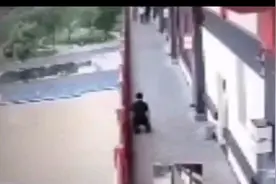 人生不会总是一帆风顺，磕磕绊绊总是难免，只有经历风雨才能成长图片