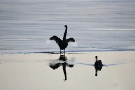 北京落户全攻略：2024年最新落户政策及途径详解图片