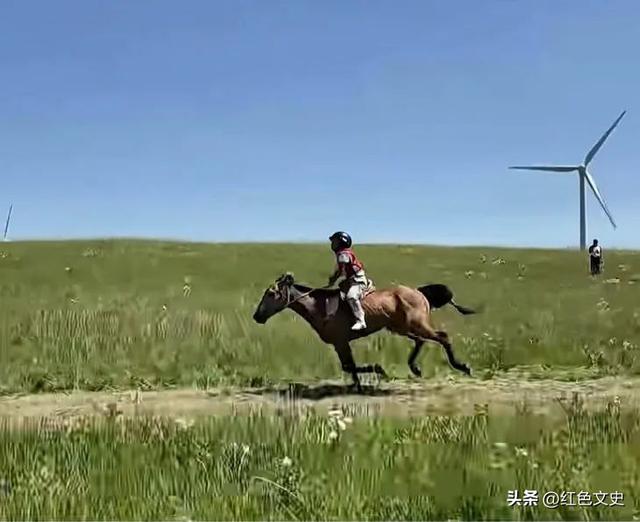草原上的盛会：第三十五届内蒙古那达慕记行