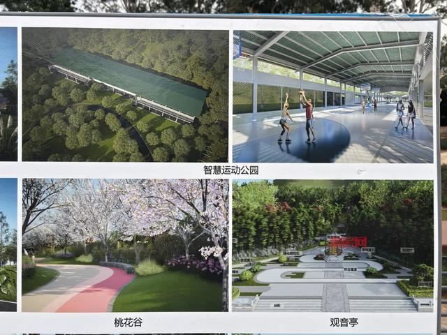 重磅!莆田主城这份规划图流出,最新进度曝光!