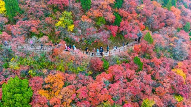 最新实拍！潍坊这里迎来“全红时刻”！