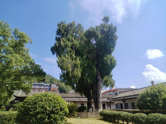 薛导游记（155）从汀州回赣州《七点半的归心》